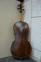 6500a cello 2.JPG